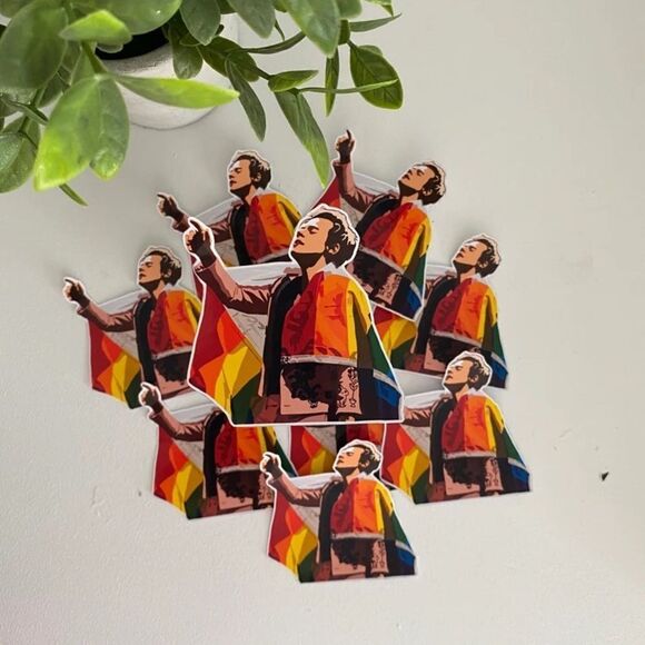 3/$20 Harry Styles Pride Vinyl Sticker - Picture 3 of 3
